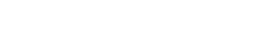 Custom Website